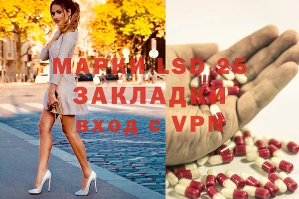 трава Арсеньев