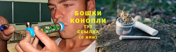 spice Аркадак