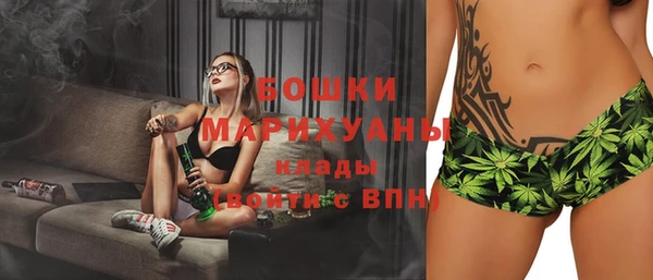 трава Арсеньев