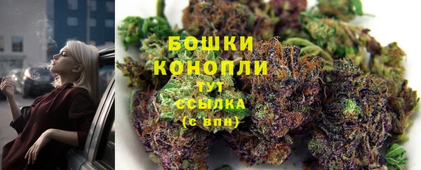 трава Арсеньев