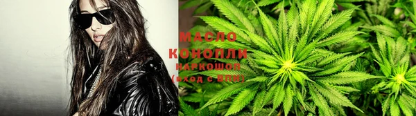 spice Аркадак