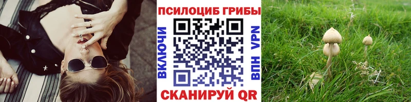 сайты даркнета какой сайт  ОМГ ОМГ зеркало  Семикаракорск  Псилоцибиновые грибы мухоморы 